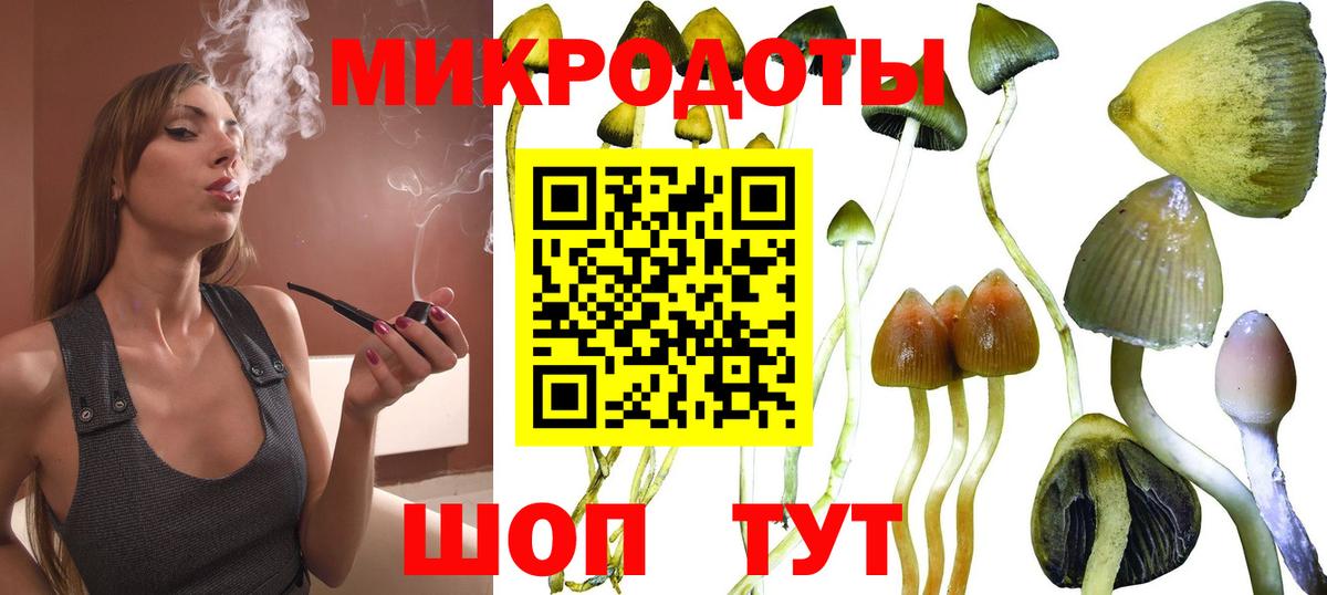 Псилоцибиновые грибы ЛСД  Псилоцибиновые грибы прущие грибы  купить  цена  Кольчугино  Вход с VPN 